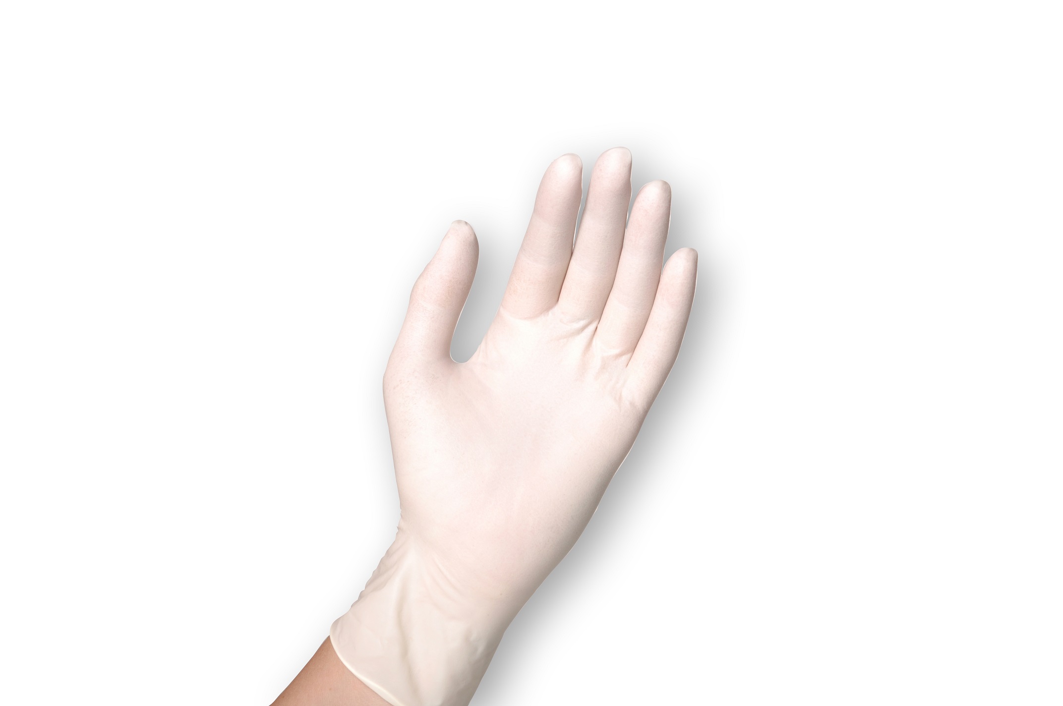8437-Hand.jpg