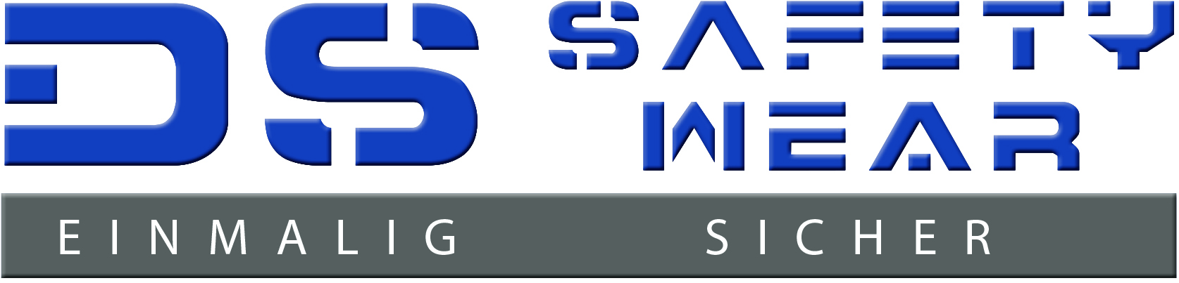 DS Safety DS Safety